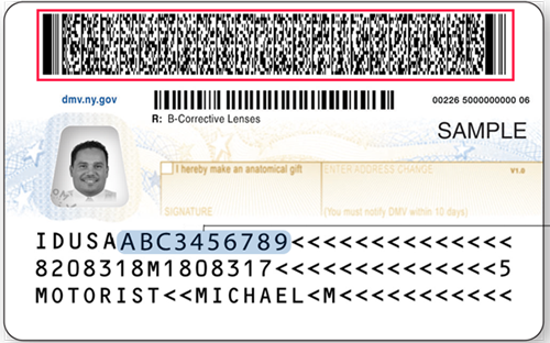Driver's License Verification
